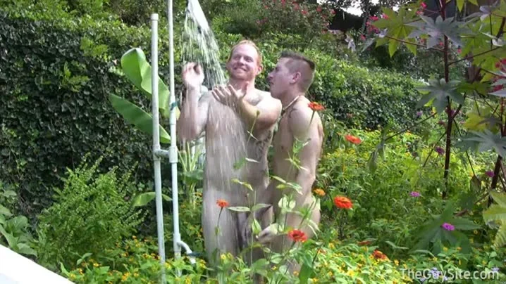 A Day in the Country (Cain, Wade)